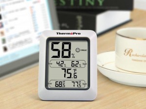 ThermoPro TP50 test
